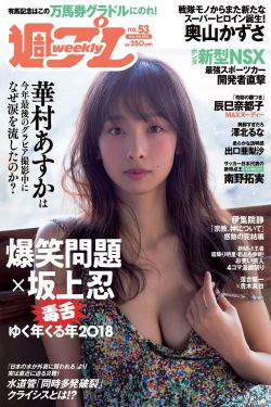 大理寺卿的宠妻日常